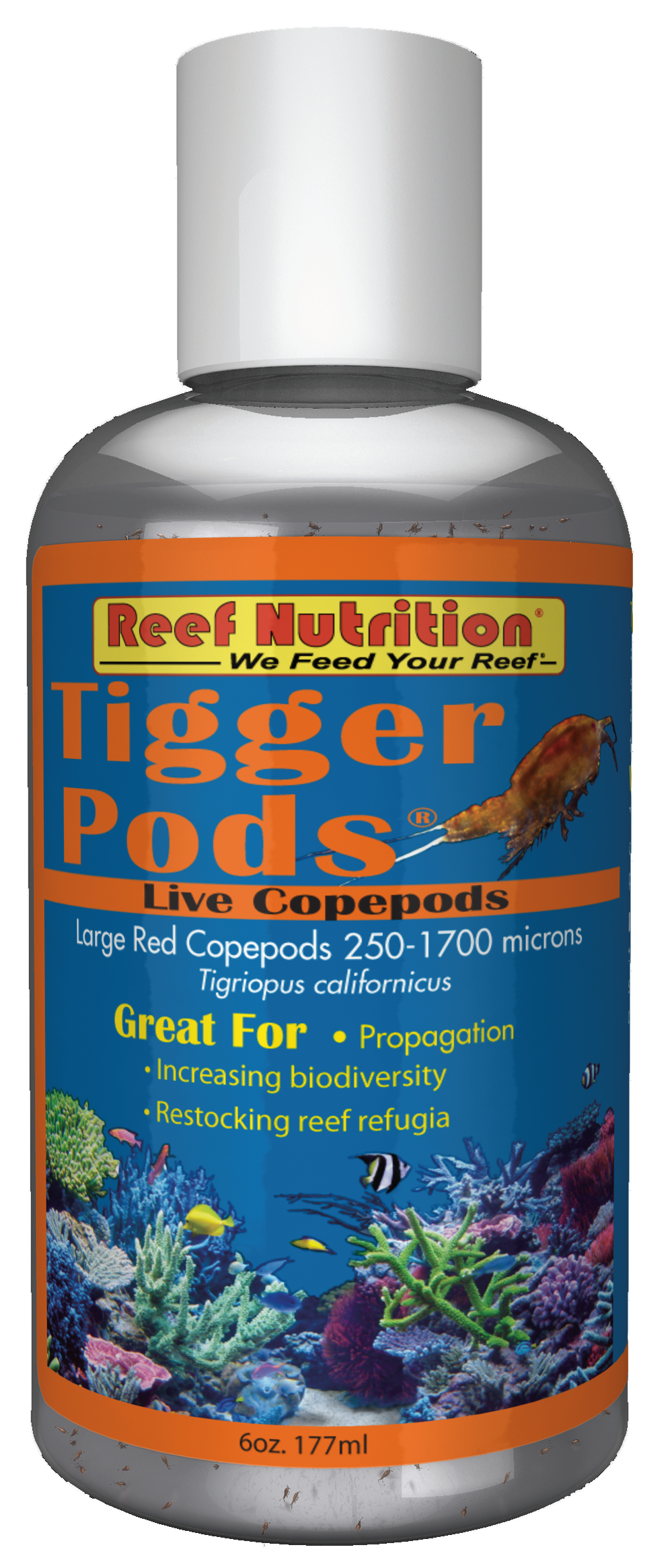 Reef Nutrition Tigger Pods-Live Copepodes 6oz