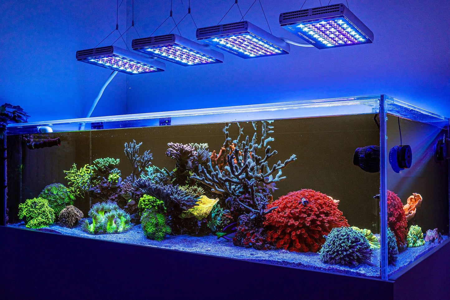 Orphek Natura iCon Reef Aquarium LED Lighting